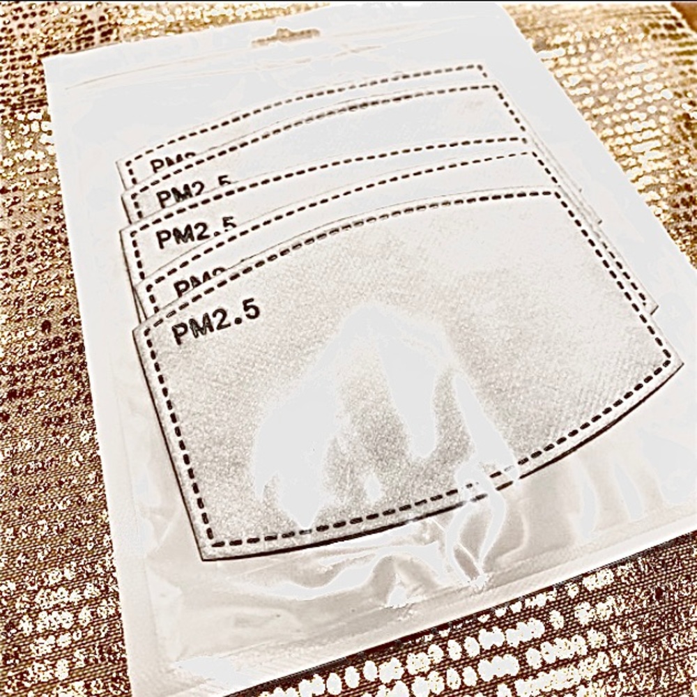 PM2.5 Filters (5) Replacements for Face Masks - Picture 3 of 4